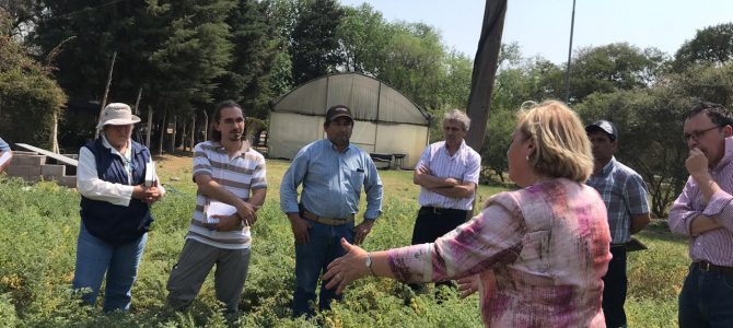 Visita de productores chilenos