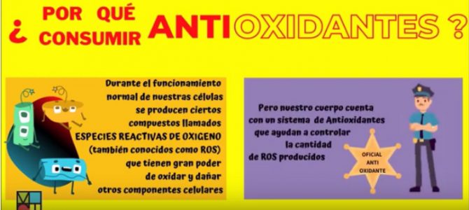 ¿Por qué consumir antioxidantes?