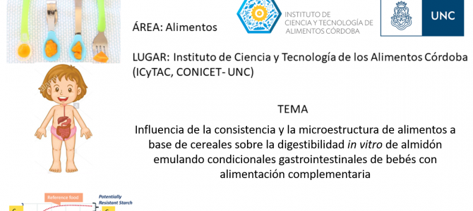 Búsqueda de candidato/a para beca doctoral CONICET – Convocatoria 2021