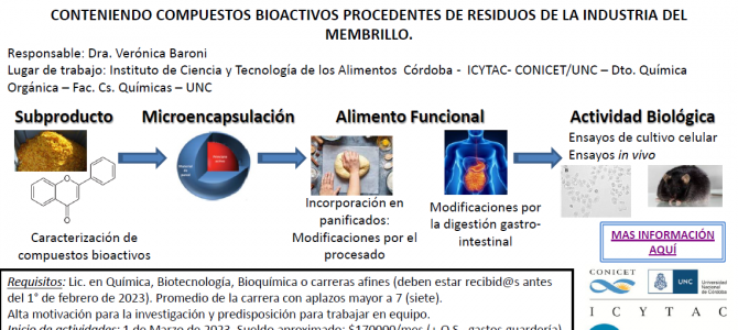 Búsqueda de becario/a doctoral