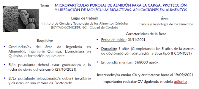 Oportunidad en ICYTAC: búsqueda de candidato/a para beca FONCyT